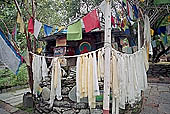 Kangra Valley - Norbulingka Institute - the garden 